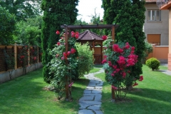satulinteligent (10)