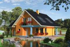 satulinteligent (39)