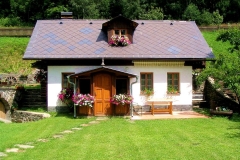 satulinteligent (49)