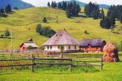 satulinteligent (51)