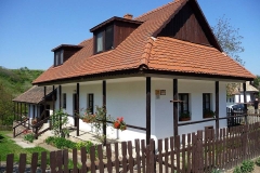 satulinteligent (54)
