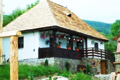 satulinteligent (63)